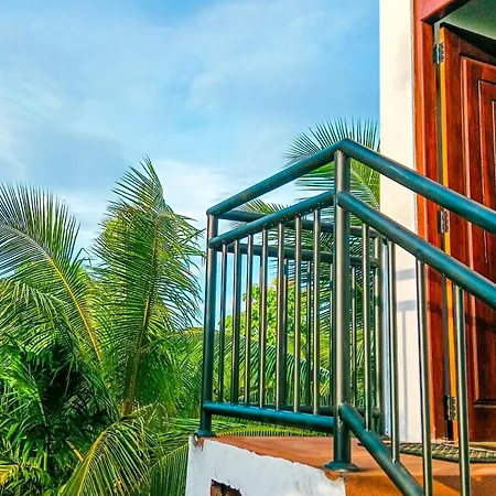 Dew Ashi Homestay Sigiriya Buitenkant foto